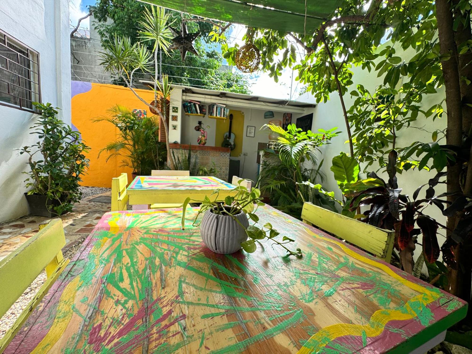 "Vainilla B&B" - Stylish Comfort In Playa Del Carmen Exterior photo