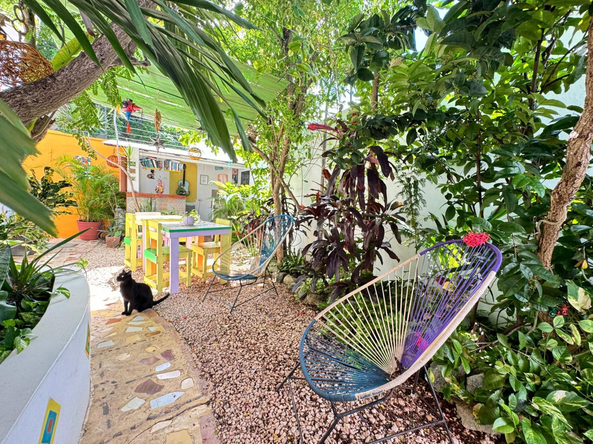 "Vainilla B&B" - Stylish Comfort In Playa Del Carmen Exterior photo