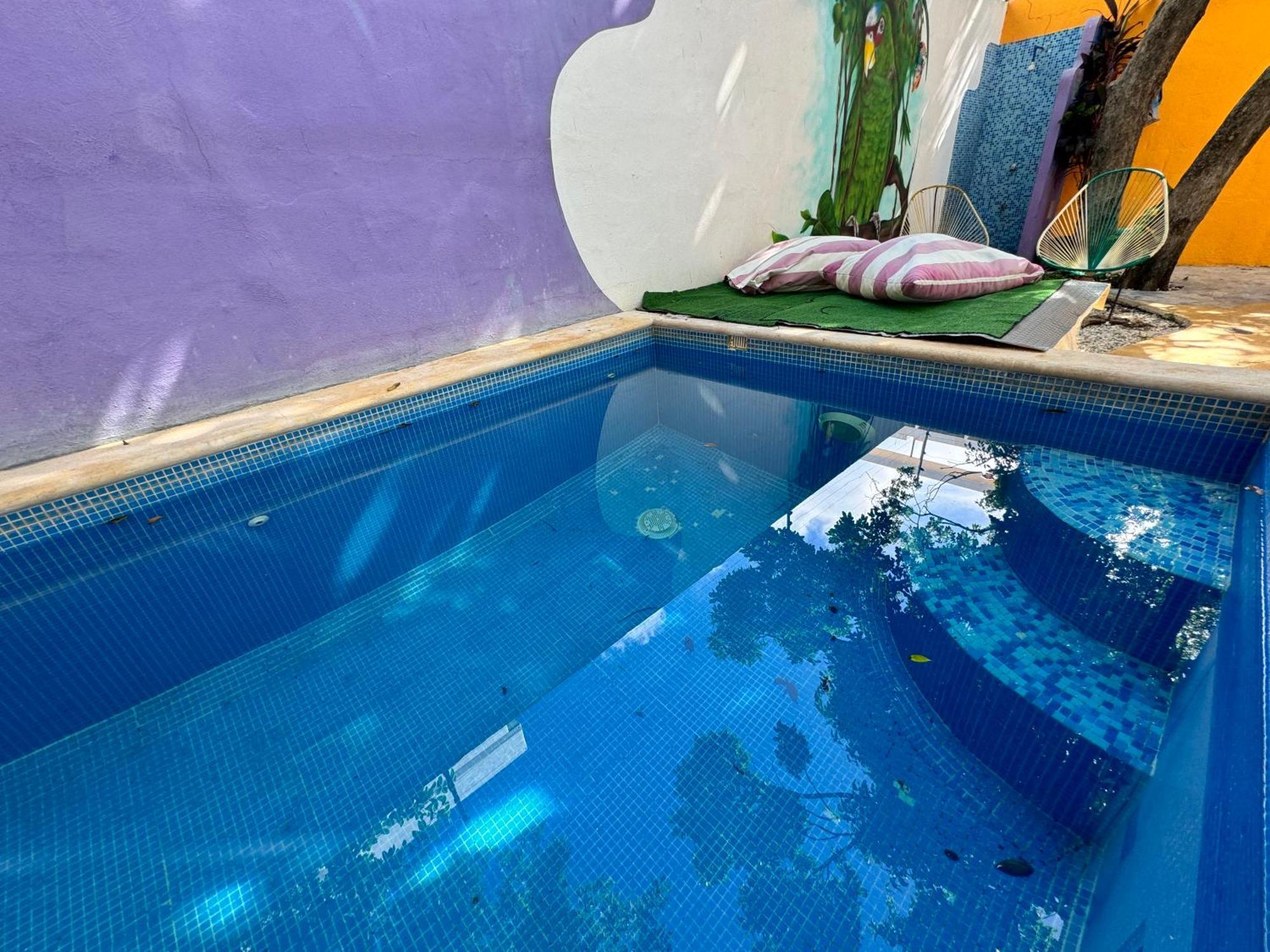 "Vainilla B&B" - Stylish Comfort In Playa Del Carmen Exterior photo