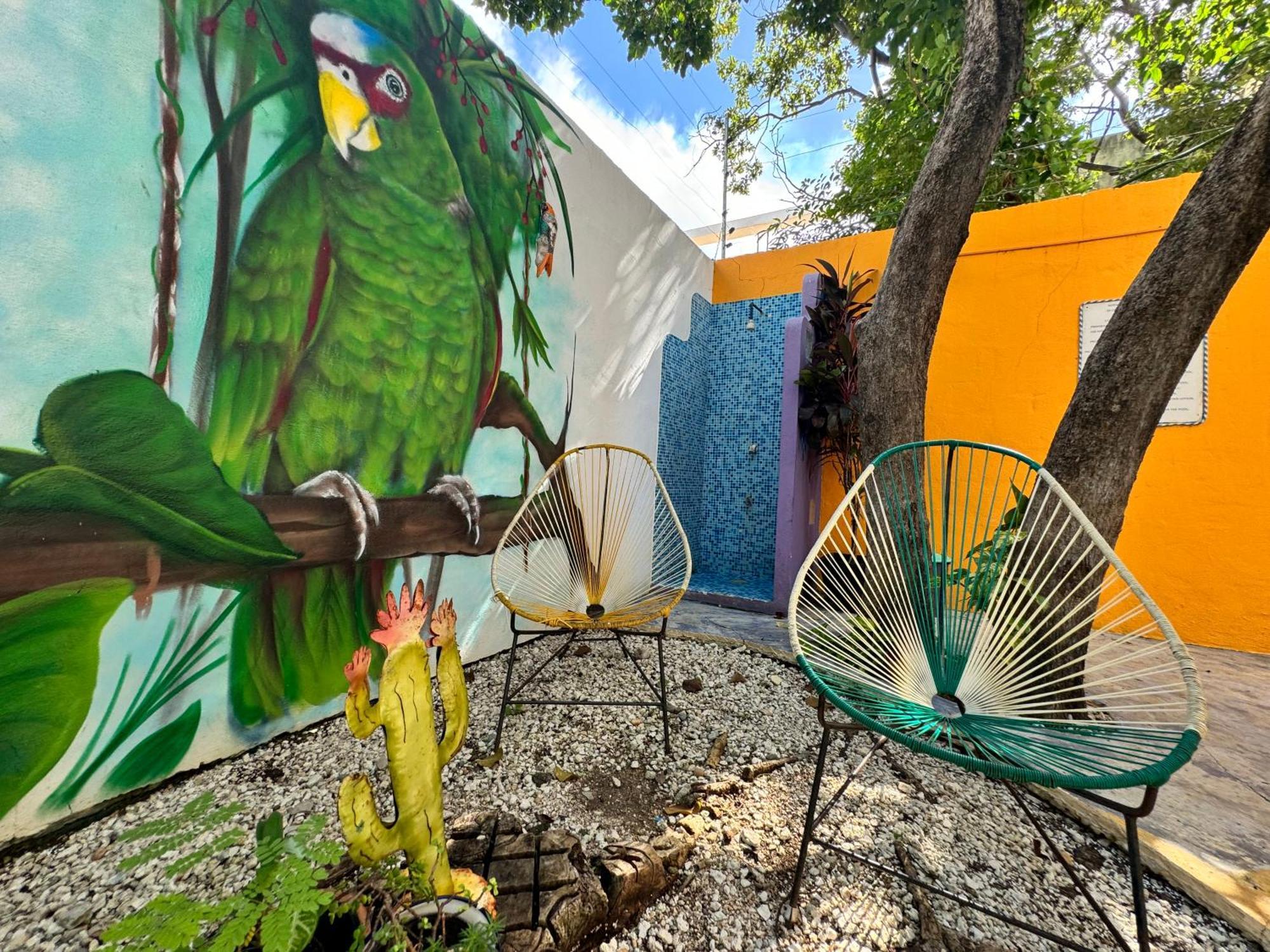 "Vainilla B&B" - Stylish Comfort In Playa Del Carmen Exterior photo