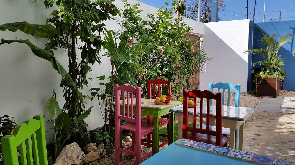 "Vainilla B&B" - Stylish Comfort In Playa Del Carmen Exterior photo
