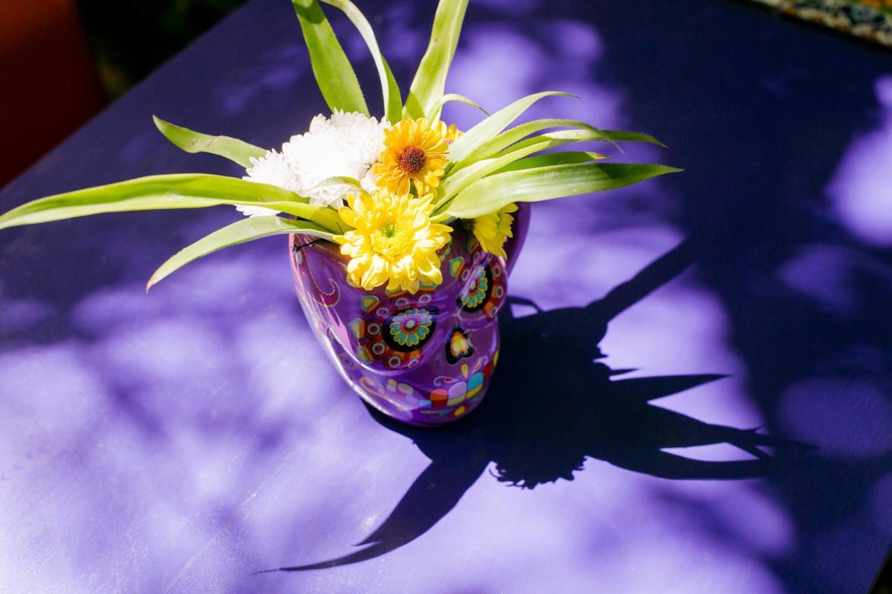 "Vainilla B&B" - Stylish Comfort In Playa Del Carmen Exterior photo